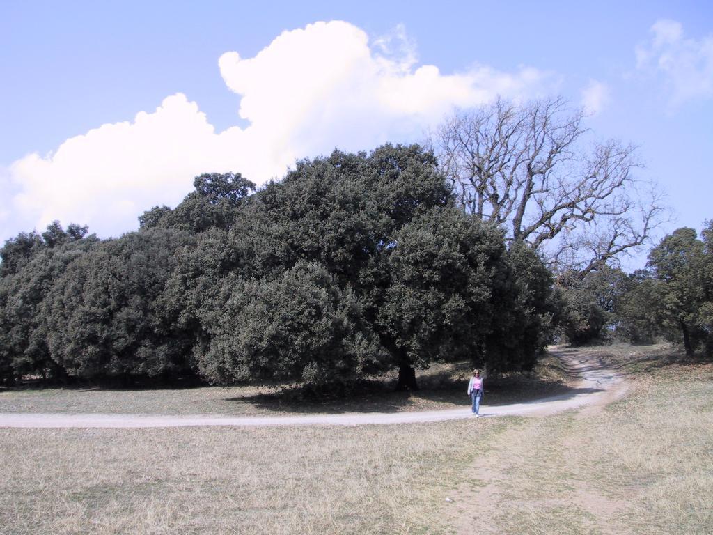 Les Margarides Villa Seva Dış mekan fotoğraf